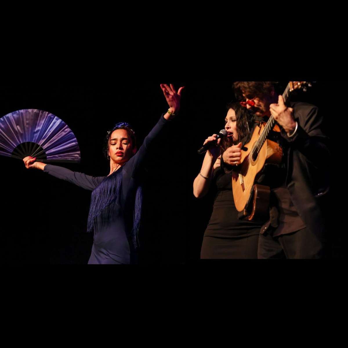 An Evening with Eduardo de Rosamaria
